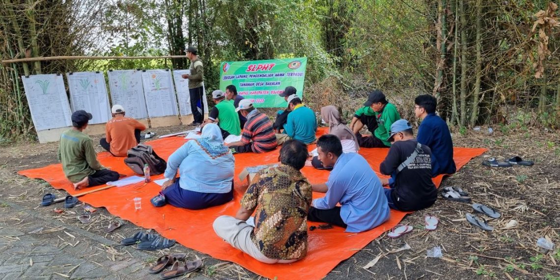 Warga Bakalan Antusias Ikuti Sekolah Lapang Pegelolaan Hama Terpadu MMD UB